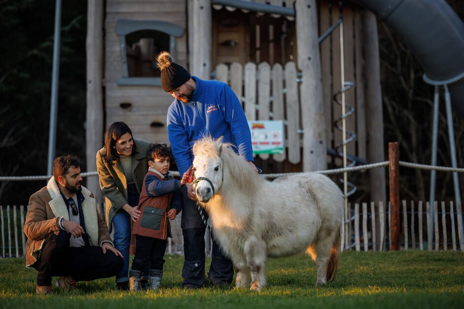 🦙 | Escape & Explore East Cork One of our local attractions here in East Cork, Leahys Open Farm is the ideal family day out, filled with fun activities, furry friends , and tasty food and coffee locations! 🚜 #fotaislandresort #eastcork #petfarm