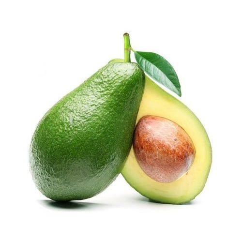 My hometown of #Tzaneen produces the most & best avocados in #SouthAfrica🇿🇦. SA exports its avocados to China, Europe, the Middle East & African continent. The SA embassy in Washington DC is working with stakeholders to access the US market.