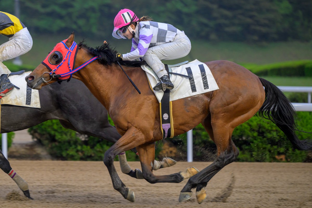 激レア 絶版 廃盤 写真集 ONTHETURF2 競馬 激レア 絶版 廃盤 写真集 ONTHETURF2 競馬 【公式通販】