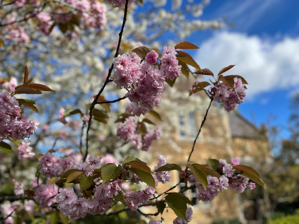 Even our holiday cottages are coming to life with colour. Have you spotted the pastel petals of blossom this week? Photo: No.1 Belton by Amanda Sellers #BlossomWeek