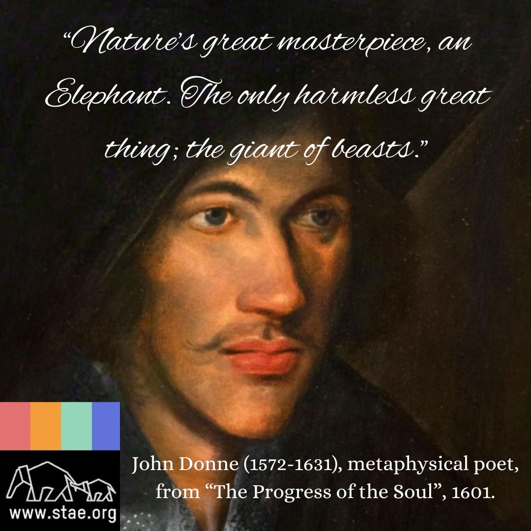 “Nature’s great masterpiece, an Elephant. The only harmless great thing; the giant of beasts.” John Donne (1572-1631), metaphysical poet, from “The Progress of the Soul”,1601.