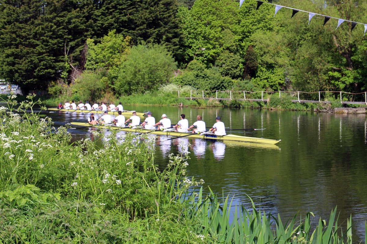 Trinity Regatta tweet media