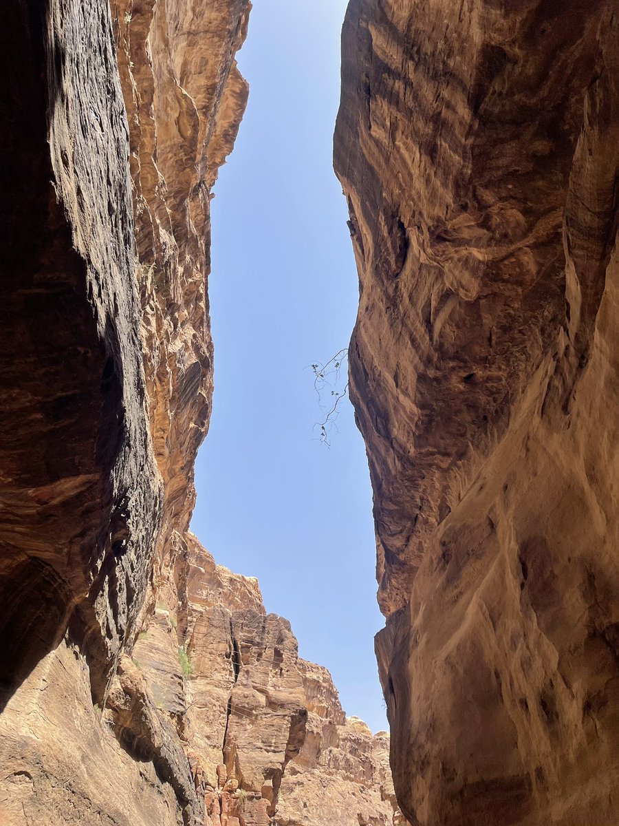 found palestine in petra ♥️