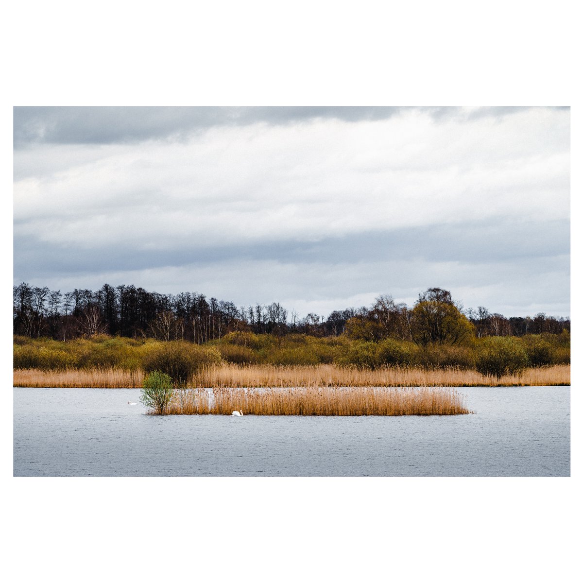 FelerPeter's tweet photo. Zuhause
#niedersachsen #deutschland #winsenaller #südwinsen #oldau #meißendorf #celle #landschaft #landschaftsfotografie #heimat https://t.co/VGWWegOAIq