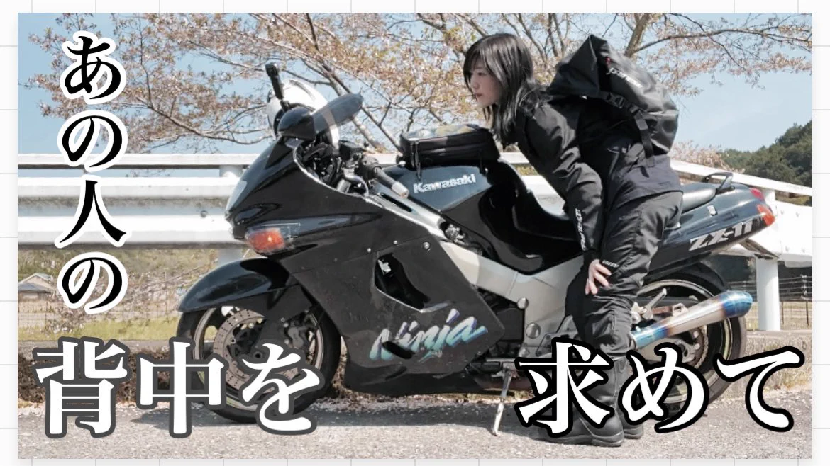 Highlights by ぴよたんの💫 (@piyotanno) / X