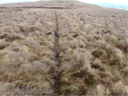 Delighted that the first peatland restoration project in Inverclyde is now complete. This will reduce greenhouse gases, prevent flooding and improve biodiversity 👏 Read more here 👇 ow.ly/BTJK50RjR9X @peatlandACTION @GCVgreennetwork