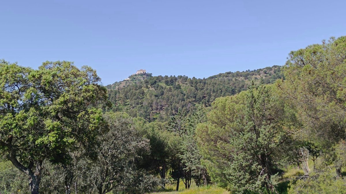 📷 Son muchos los que nos siguen por nuestras RRSS que están recorriendo la Sierra de Andújar y toda la parte del Santuario de la Virgen de la Cabeza, como es el caso de María Pulido.

Aquí os dejamos unas fotos de esta parte de la provincia de Jaén.

#jaénparaísointerior