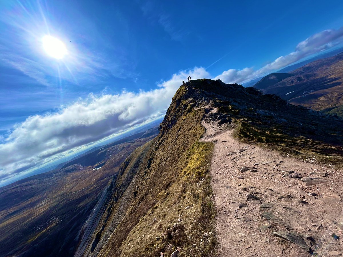 Darragh Geaney tweet media