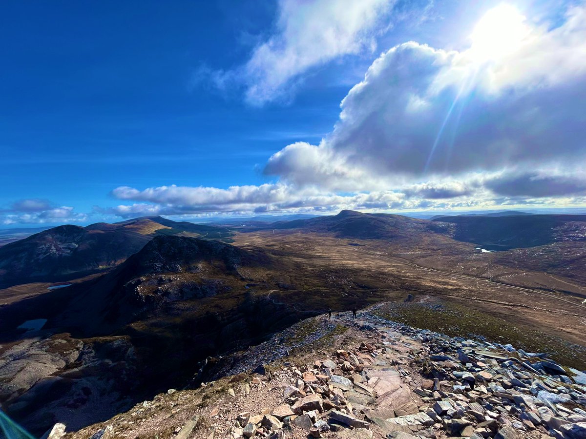 Darragh Geaney tweet media