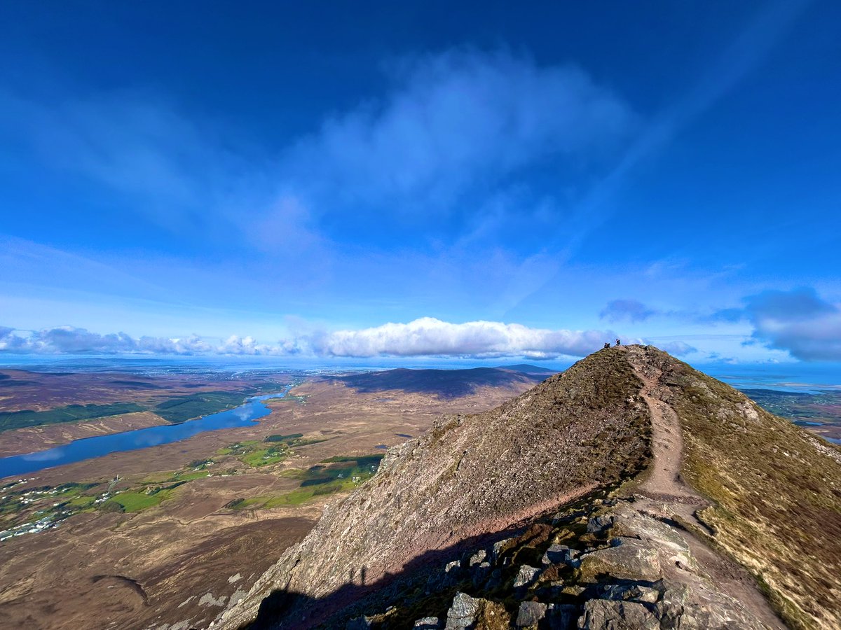 Darragh Geaney tweet media