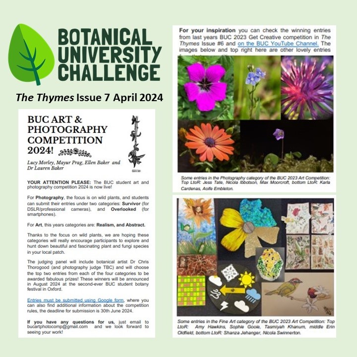 Botanical University Challenge #BUC2024 #art and #photography competition for students. Read about it in The Thymes and on our website. Deadline 30 June 2024. botanicaluniversitychallenge.co.uk/the-thymes/ See #BUC2023 art Get Creative entries youtube.com/watch?v=WRkGGf…