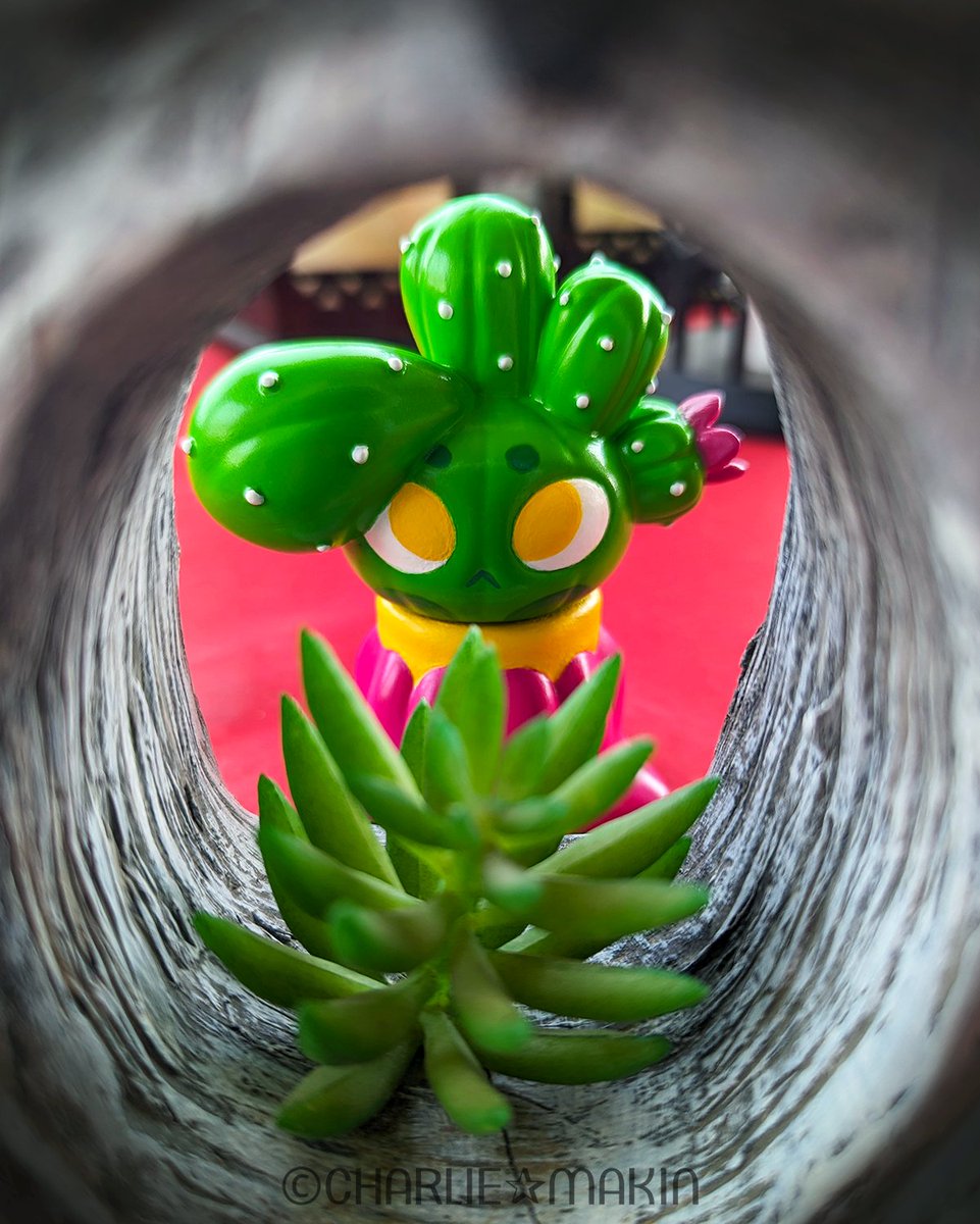 🌵¡Hola, amigo!🌿👀🌿

#サボテンの子 #CactusKid #ソフビ #sofubi #arttoy #toycollector #sofvi #resintoy #designertoys #cactus #サボテン #flower #花
