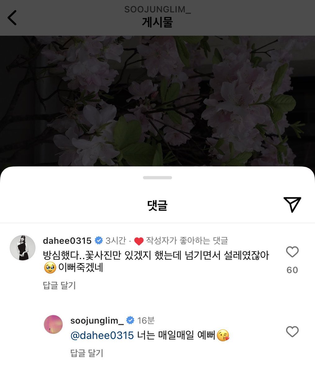 아니… 너희 진짜