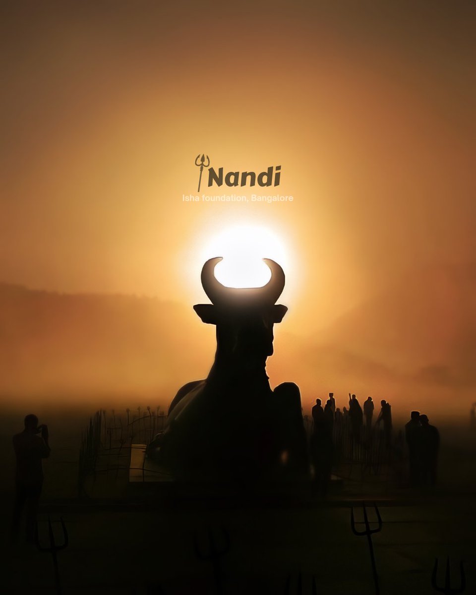 Resting with complete stillness, Nandi at the Isha Foundation in Chikglakpur. #Chikkaballapur #Nandi