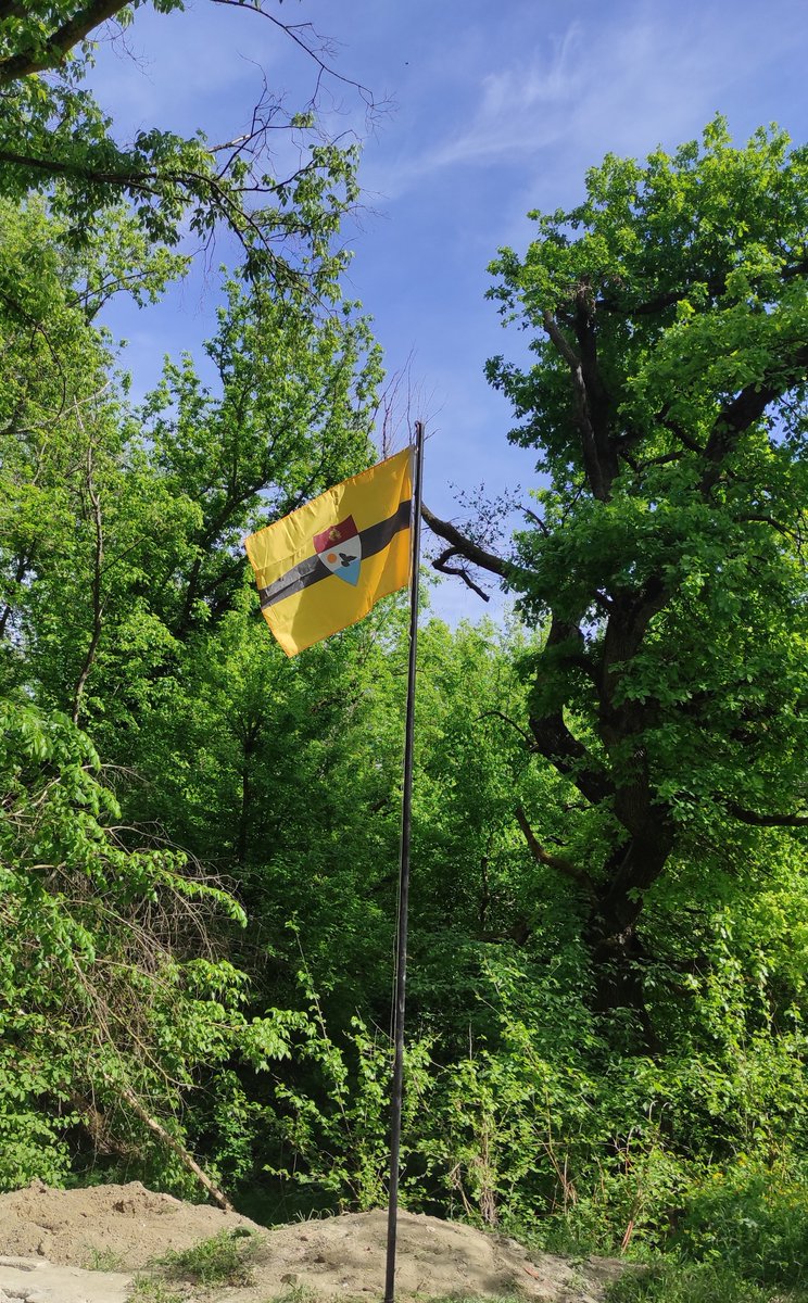 LiberlandPO's tweet photo. In Liberland 💛 https://t.co/cLUEbsUcHe