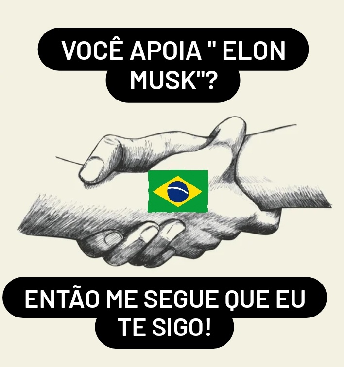 #SDV #ElonMuskBrazil