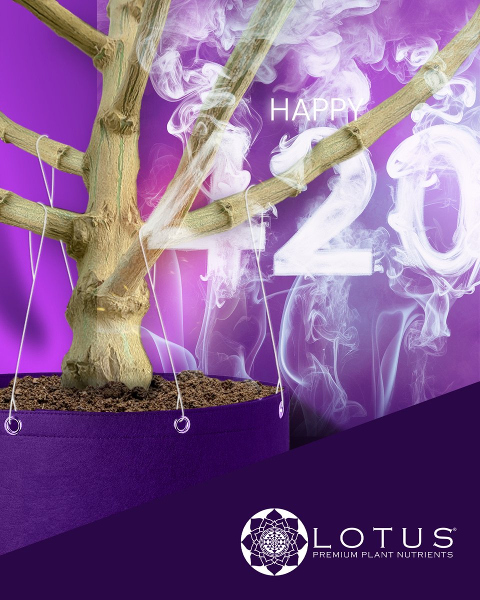 Happy 4/20 to our incredible growing community! 🌿💚 Today, we celebrate the passion, dedication, and green thumbs that unite us. Here's to growing together, learning from each other, and nurturing our gardens, today and every day. Much love, from the Lotus fam 🫶