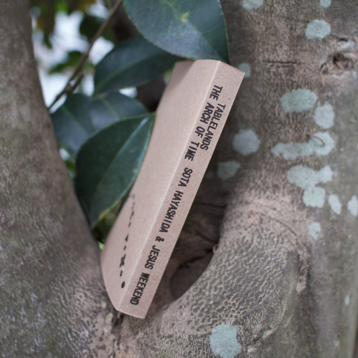 A_Band_HAPPY's tweet photo. 【NEWS】#hpyband 

Sota Hayashida &amp; Jesus Weekend 限定版シングルカセットテープ 「TABLELANDS / The Arch of Time」
5月3日リリース。

Field Recording by Riku Sawada
 Mix / Mastering by Riku Sawada
Artwork by Risako Yamamoto https://t.co/XE2iXqY3xQ https://t.co/i3frgqNJVp