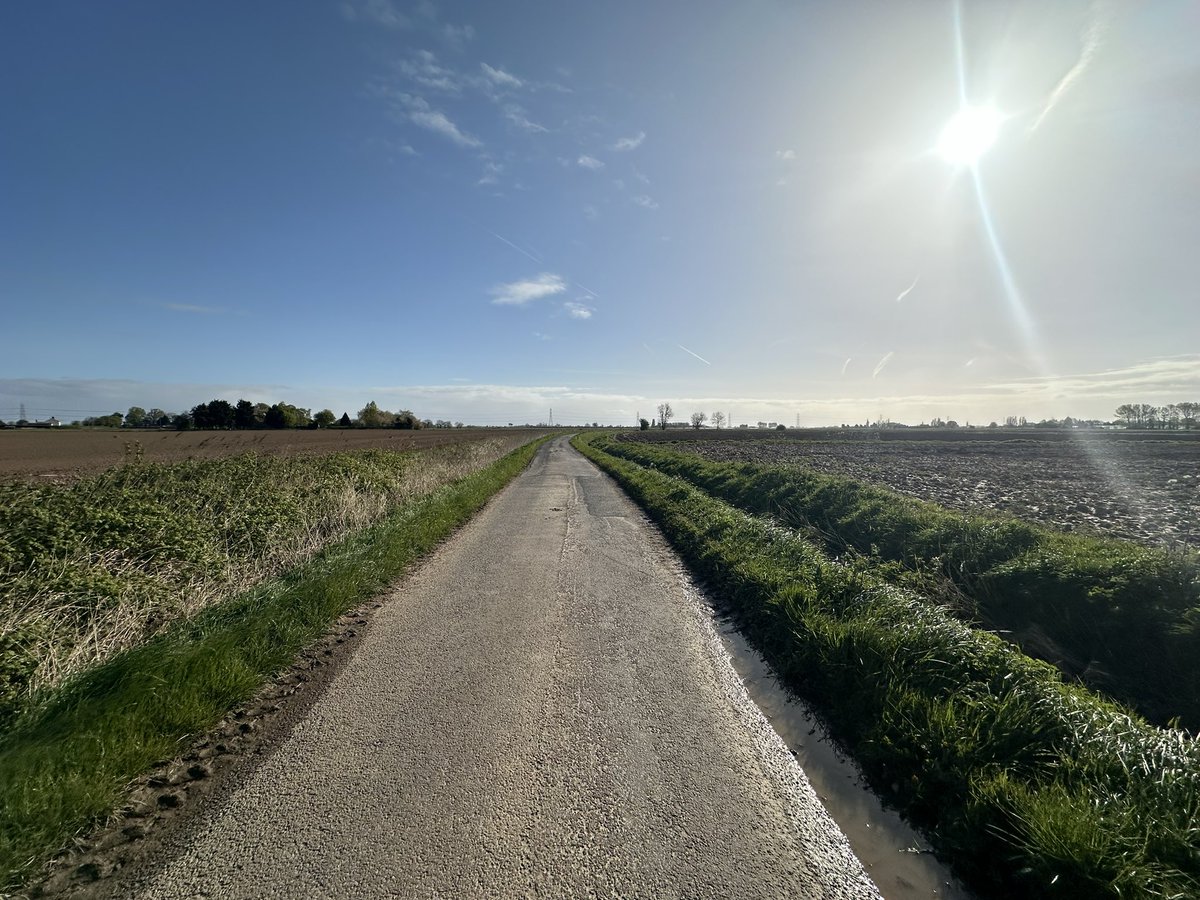 Eddy Goodman tweet media