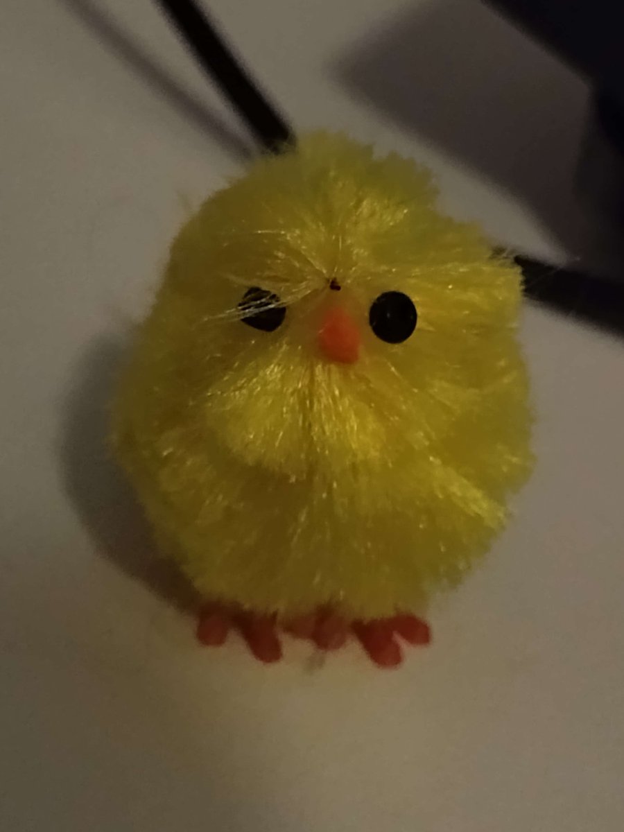 faeyethx3's tweet photo. @Ghostycheese I have a pee coloured one https://t.co/Cxcu1FQ9dA