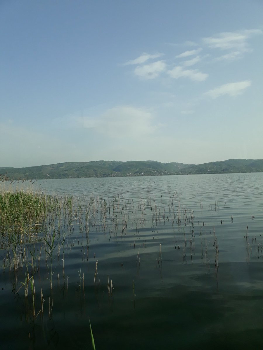 Üstüne titrediğim her şeyi yitirmeyi öğrendim çoktan.