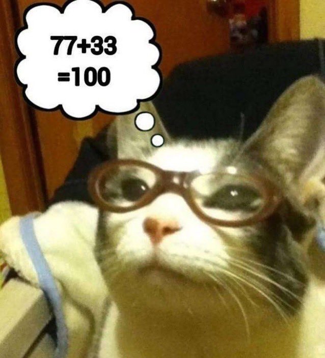 BajaBeSilly's tweet photo. @catboygirlboss https://t.co/YZCsSar5Ys