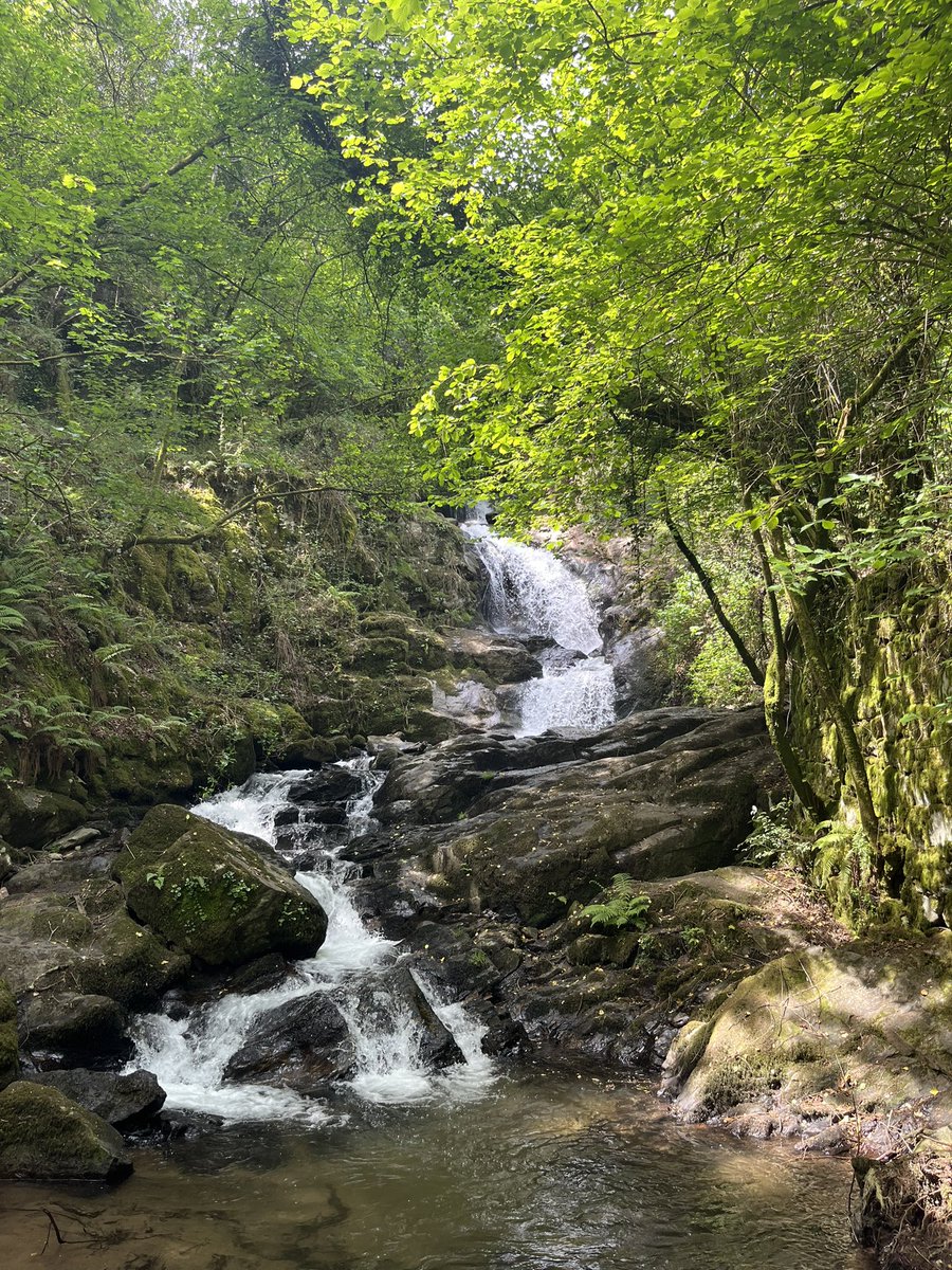 ctmiranda4's tweet photo. Just ran 8km in this beautiful new trail built in #vizela Portugal…all I can say is beautiful,Well done. https://t.co/OoRbwamTL8