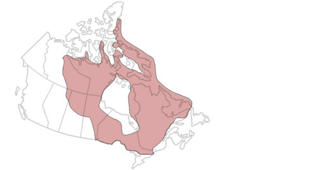 Michael Girdley tweet media