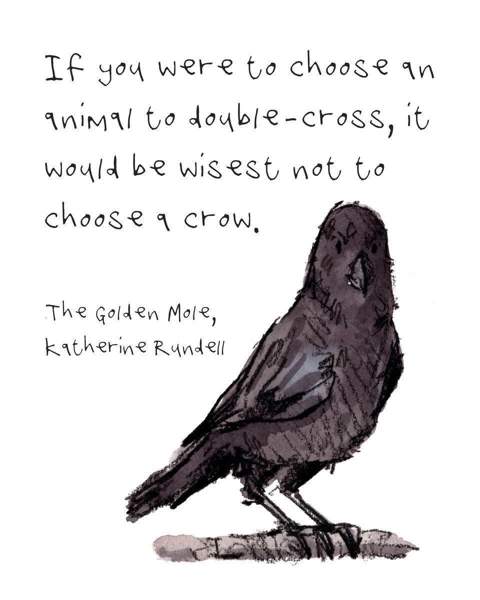 Hello, lovely people. I hope that you are having a really fab day. I've just finished 'The Golden Mole,' by Katherine Rundell from @FaberBooks. It is a delight and has one of my new favourite ever lines. I thoroughly recommend it. #hoorayforbooks #crow