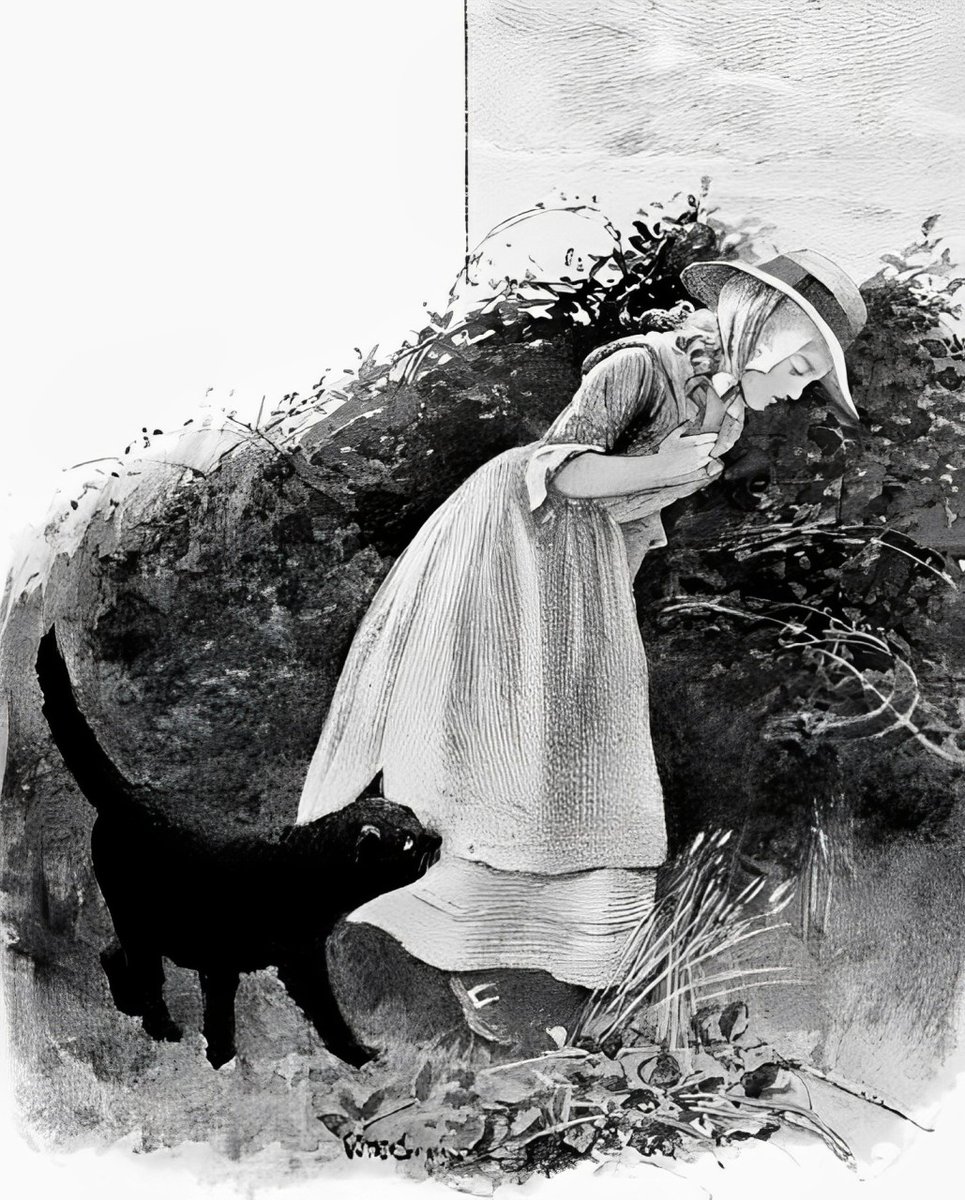 Nannie was picking flowers & cat Tinker, who had followed her again to the moors, put his paw on a clover & mewed. 📓North Cornwall Fairies & Legends, 1906 🖊️Enys Tregarthen (UK Author) 🖼️Nannie & Tinker Went To The Moors, 1906 🎨Nannie Preston (English Artist) #caturdayᓚᘏᗢ