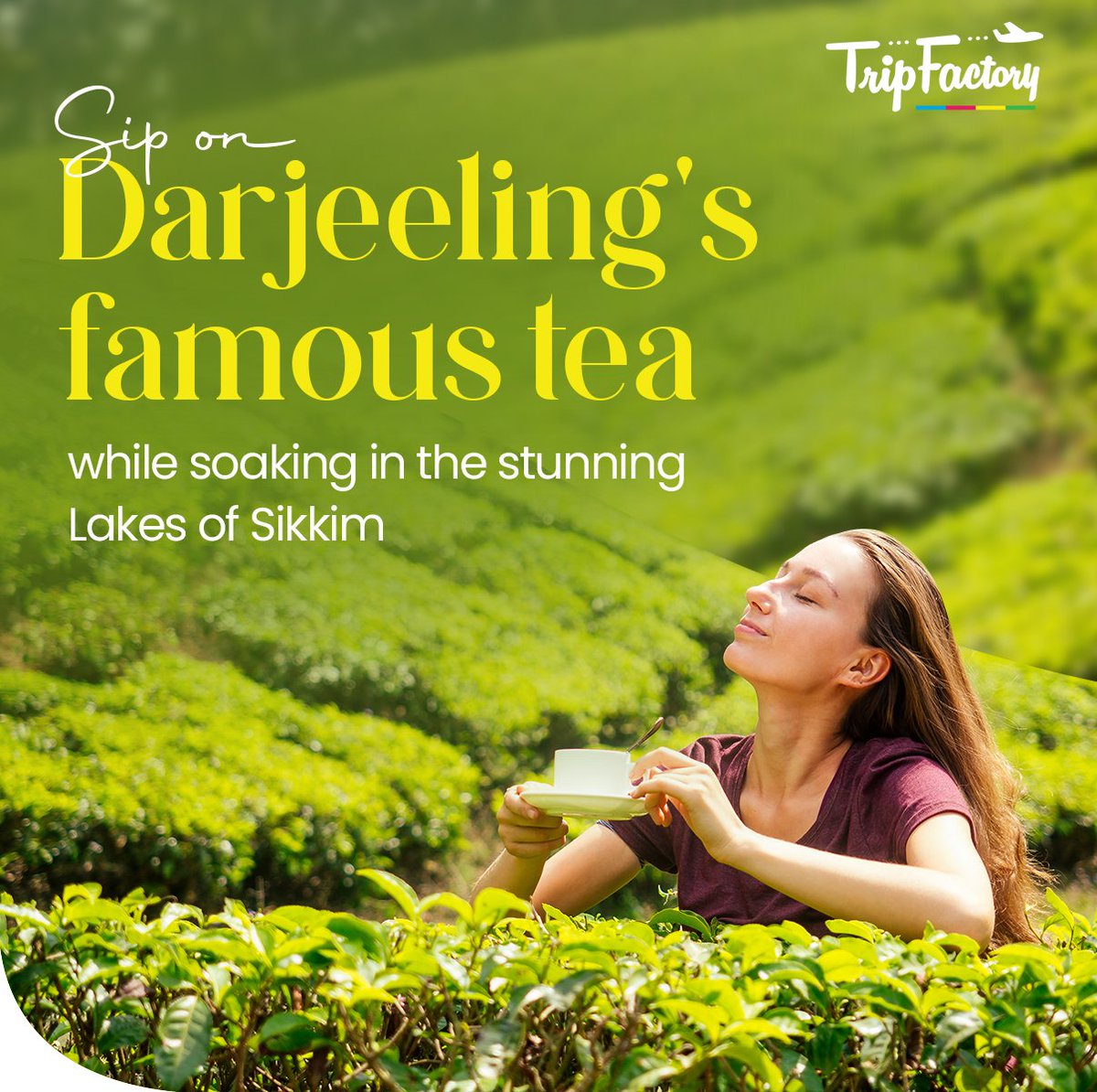 trip__factory's tweet photo. Every Mountain Moment is a Tea-riffic Adventure, Travel with us now!

#TripFactory #Travel #Traveling #Holidays #Vacation #InstaTravel #Holidaypackages #Travelguide #Wanderlust https://t.co/zj4Gy8PZu6