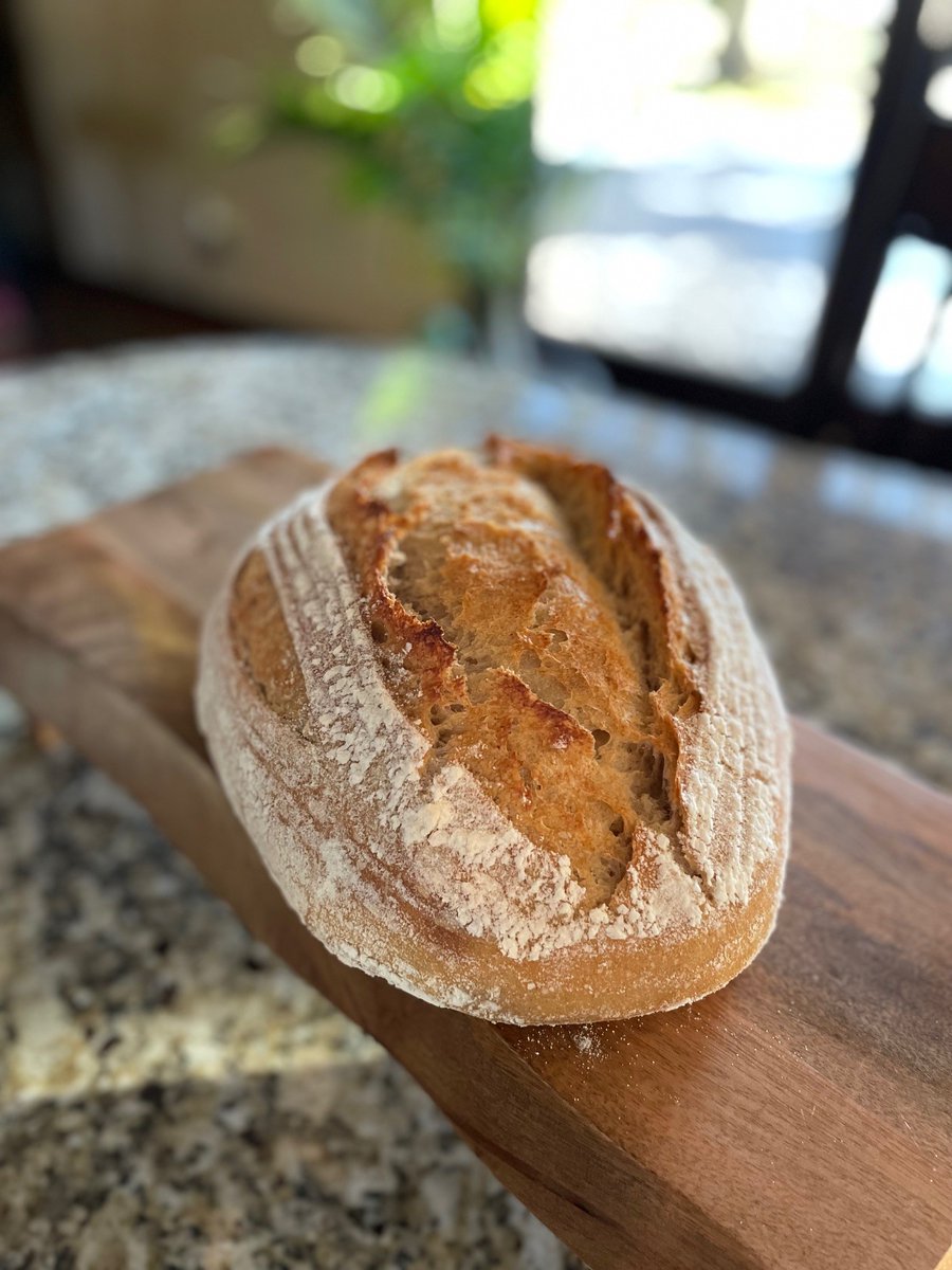 Editor Jill Jay says 'A big section of the FamilyCookbookProject.com cookbook I am creating for my family is “Sourdough.”  I've had my starter since 1977, so the latest sourdough craze makes me happy people are discovering what we’ve known for a long time. Here is my weekly loaf'