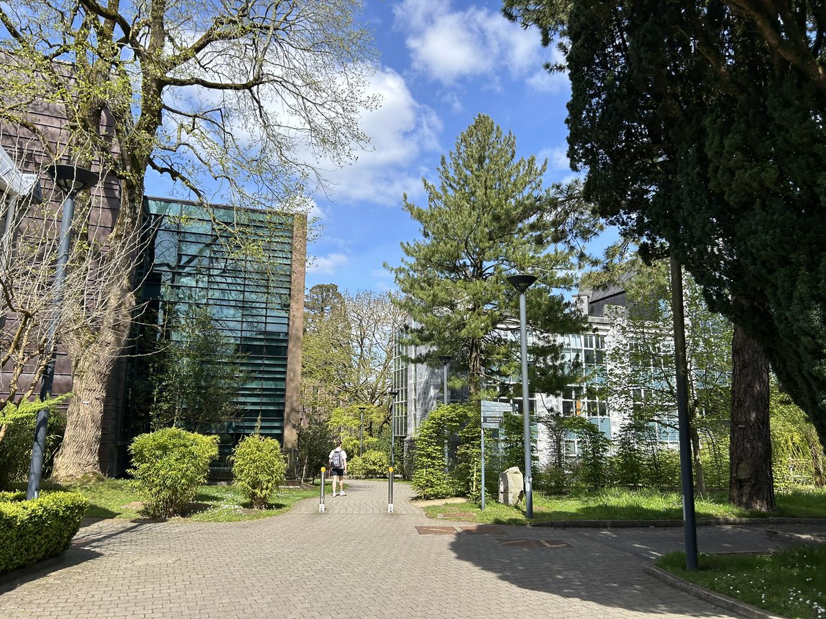 DeasyPamela's tweet image. Day 111 #day111 of #200daysofwalking, and yippee what a difference the 🌞 makes!  pity I’m not out in it, a few hours in the library 📚🫣 and I’ll have a break tomorrow #assignmentseason #Collegelife #studentlife #collegecampus #SaturdayMotivation 😎