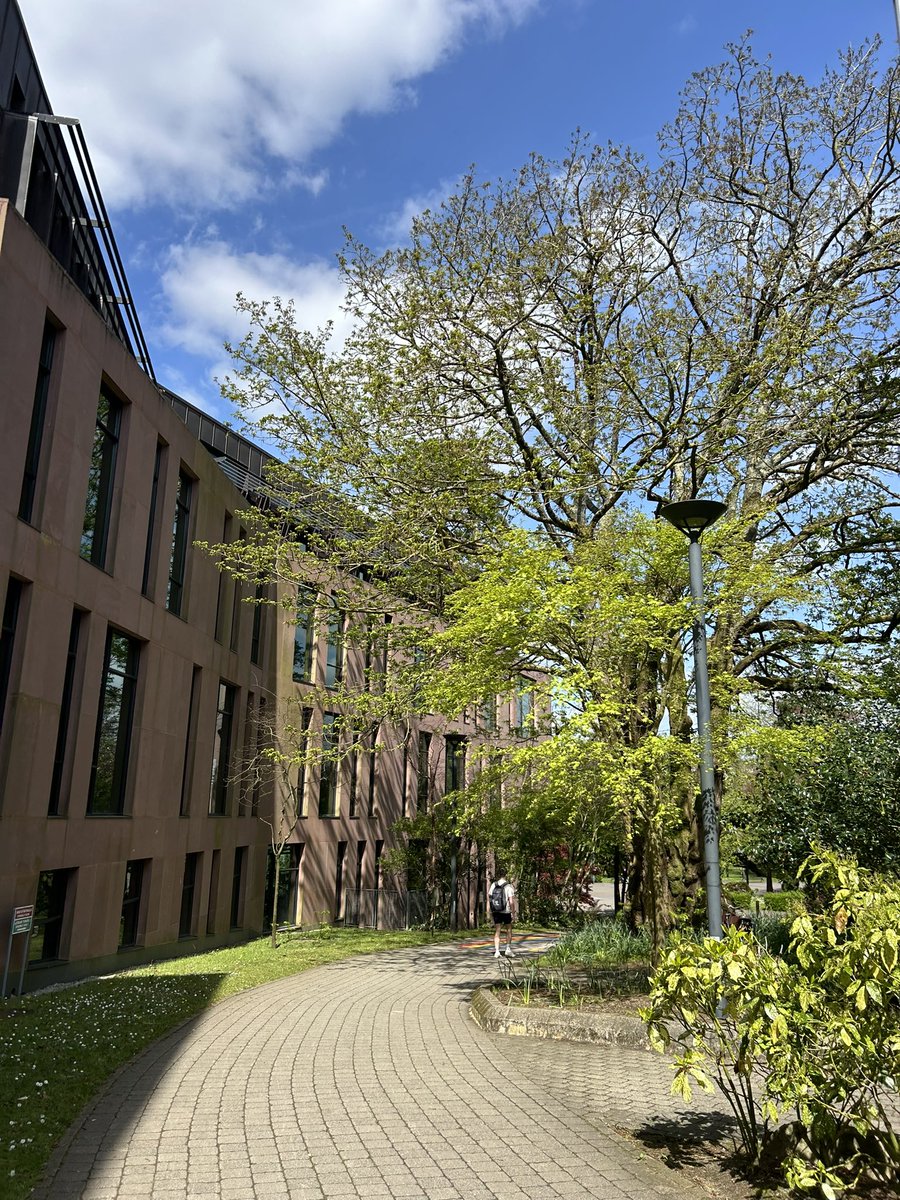 DeasyPamela's tweet image. Day 111 #day111 of #200daysofwalking, and yippee what a difference the 🌞 makes!  pity I’m not out in it, a few hours in the library 📚🫣 and I’ll have a break tomorrow #assignmentseason #Collegelife #studentlife #collegecampus #SaturdayMotivation 😎