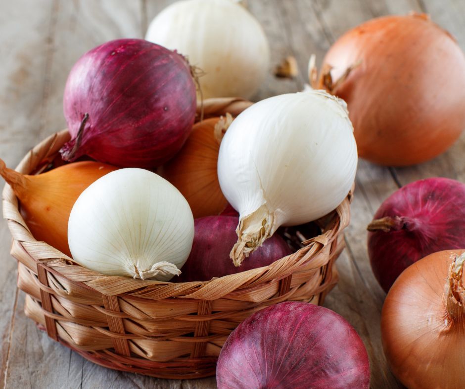 Stored properly, onions can last much longer than you think! Onions should be stored in a dark and dry location. They will keep for 4-6 weeks! Do not store them in plastic. Once peeled or cut, be sure to refrigerate. 

#HMGA #HollandMarsh #Onions #FoodTips #ReduceFoodWaste