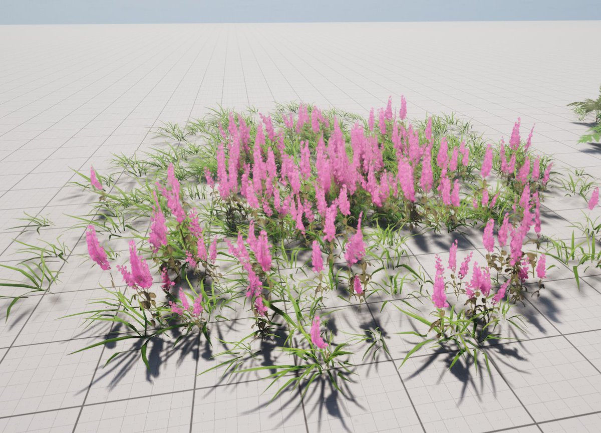 Flowers & Ferns Made using SpeedTree, Zbrush, Substance Designer and Blender #UnrealEngine #UnrealEngine5