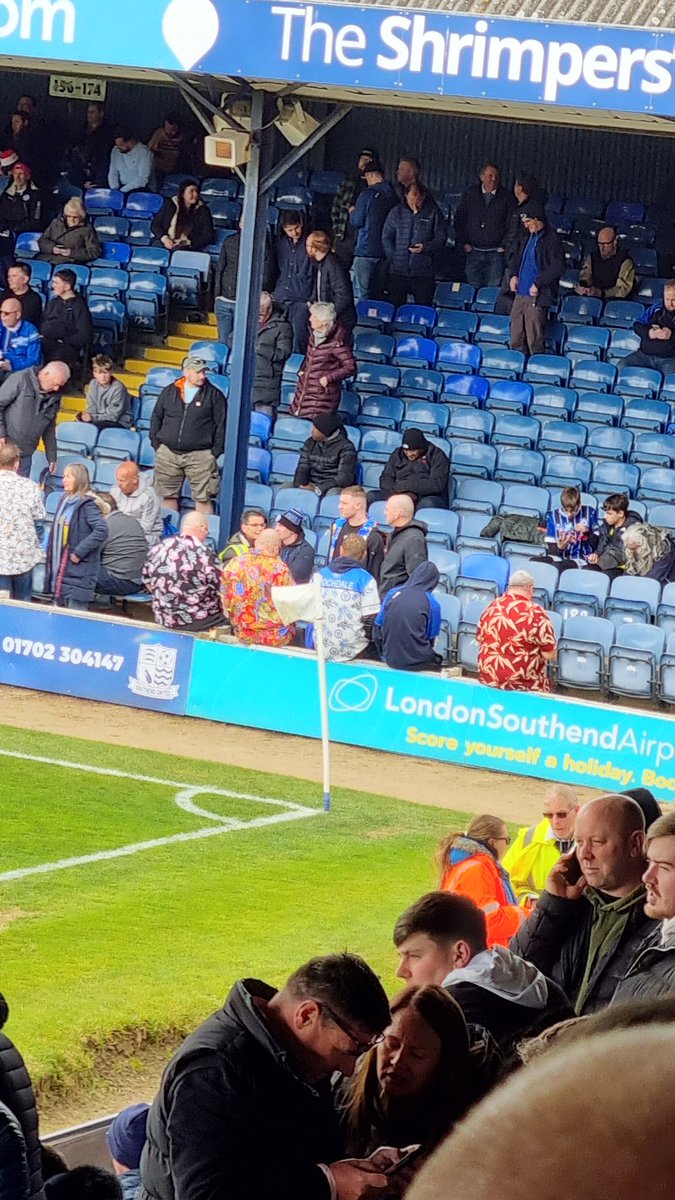 Andrew Strutt tweet media