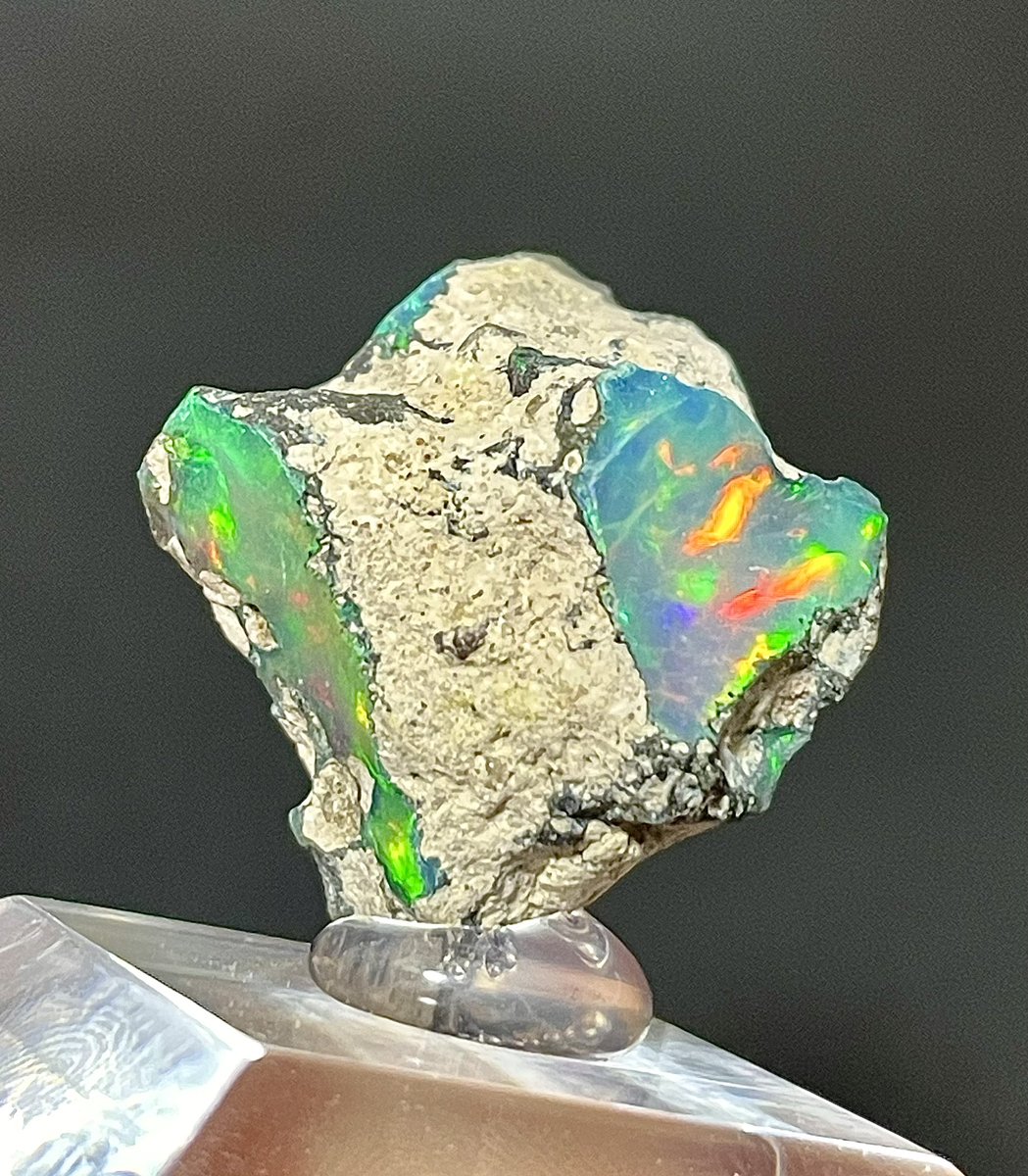 yuto_stone's tweet photo. ■鉱石名：オパール(Opal)
■産地　：south wollo Zone Amhara Region,Ethiopia
■結晶長：240*220*160
■入手経路：Minerarium様(@minerarium )2024浅草橋ミネラルマルシェ
■コメント
オパール化した七色の波打ち際。
遊色も全色ハイレベルな標本。 https://t.co/RBSwe9r5XC