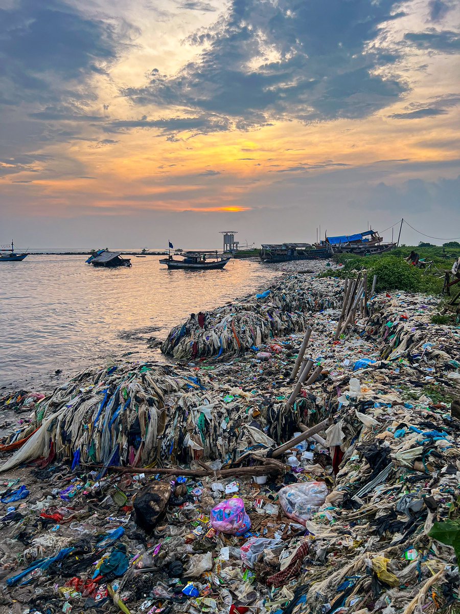 Yaya 🇵🇸 tweet media