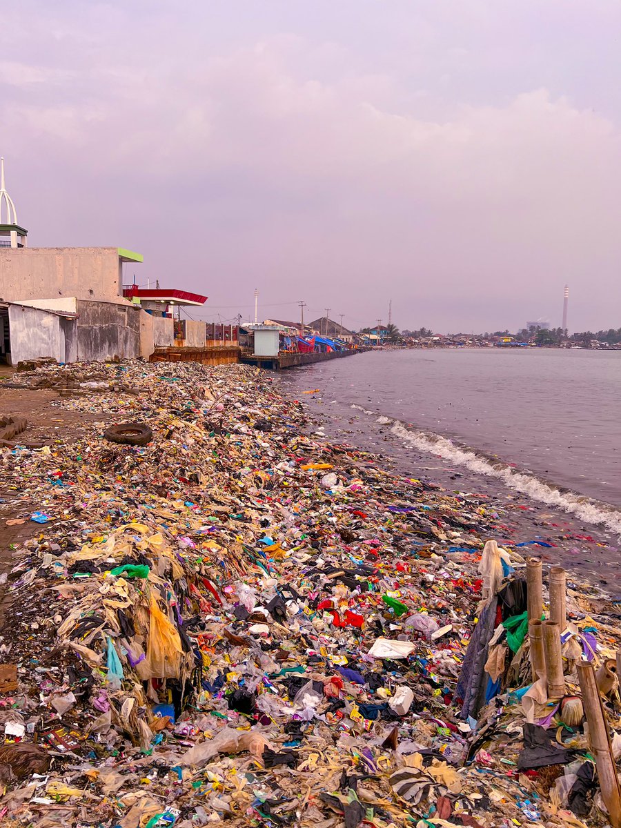 Yaya 🇵🇸 tweet media