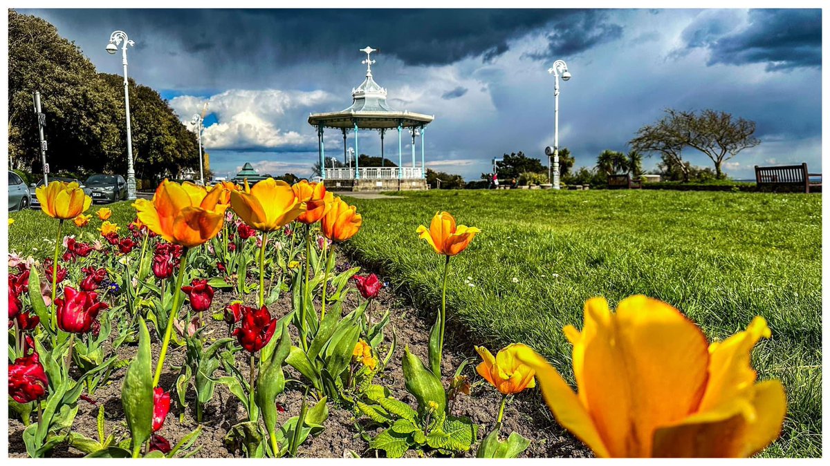 My Morning View The Leas. Folkestone. #tulips #bandstand #folkestone #folkestoneandhythedc #kent #springtime