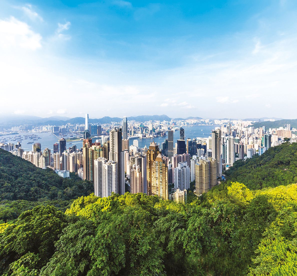 ✅ Hong Kong: Budget 2024-25 supports businesses and pursues high-quality development. investhk.gov.hk/en/why-hong-ko…
<a href="/InvestHK/">InvestHK</a> #investments #foreignmarkets #trade 
➡️ To position in the Hong Kong market, we suggest contacting the Hong Kong-Poland Chamber of Commerce <a href="/PolChamHK/">PolChamHK</a>