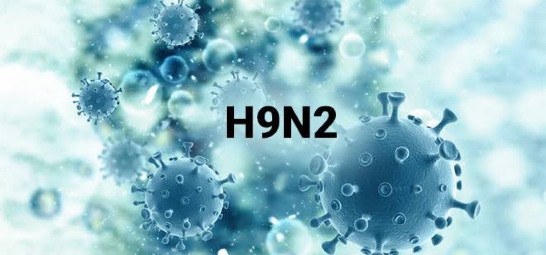 ⭕️ BM Dünya Sağlık Örgütü, 9 Nisan'da Vietnam'da bir insanda influenza A (H9N2) virüsü enfeksiyonu vakasına ilişkin bildirim aldığını doğruladı.

📌 H9N2, mutasyona uğrama ve potansiyel olarak insan pandemisine neden olma yeteneği nedeniyle endişe konusu olmuştur.