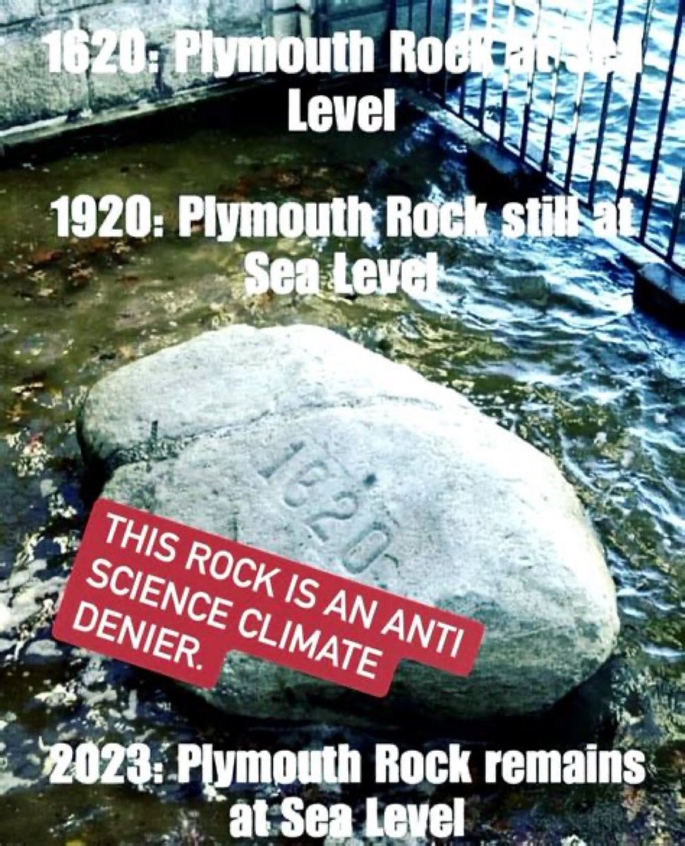 The Rock is Anti establishment