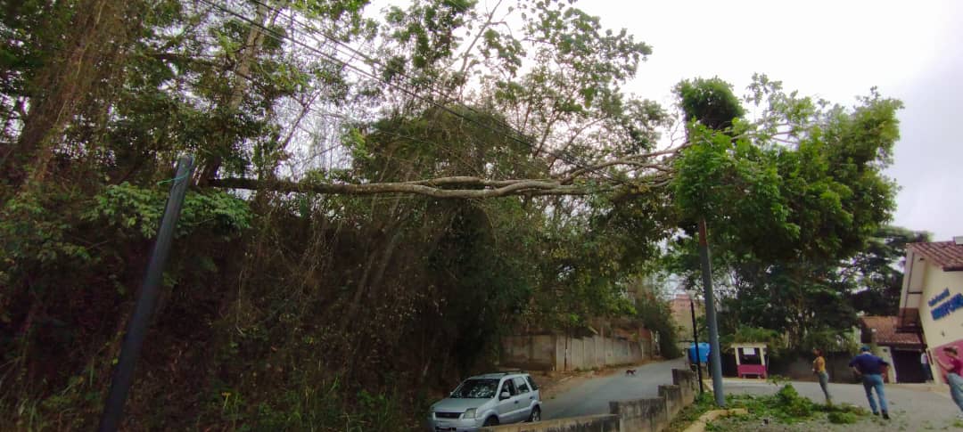 <a href="/CorpoelecInfo/">Corporación Eléctrica Nacional</a> <a href="/JoseVRangelA/">José Vicente Rangel A</a> <a href="/VenAppSocial/">Ven | App</a> <a href="/VenAppSocialRed/">VenAppSocialRed</a>  <a href="/ParqueCaiza/">Parque Caiza</a>  <a href="/AlertaMiravila/">Urb. Miravila</a>  #URGENTE  #ULTIMAHORA #SinLuz 
PARTE ALTA DE PARQUE CAIZA, #SinLuz desde la madrugada. Árbol sobre Transformador Calee La Fraternidad Denuncia VENAPP SP5957515