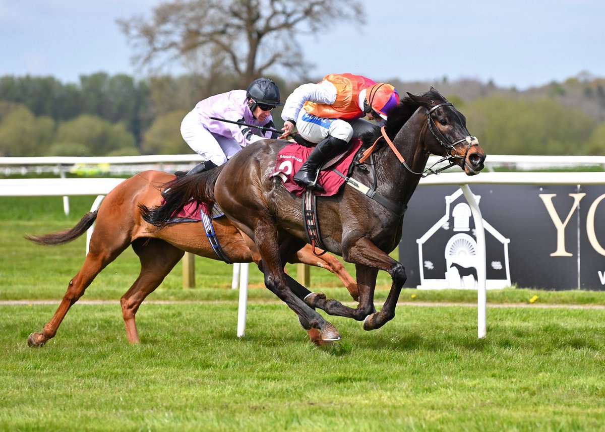 bangorraces tweet media