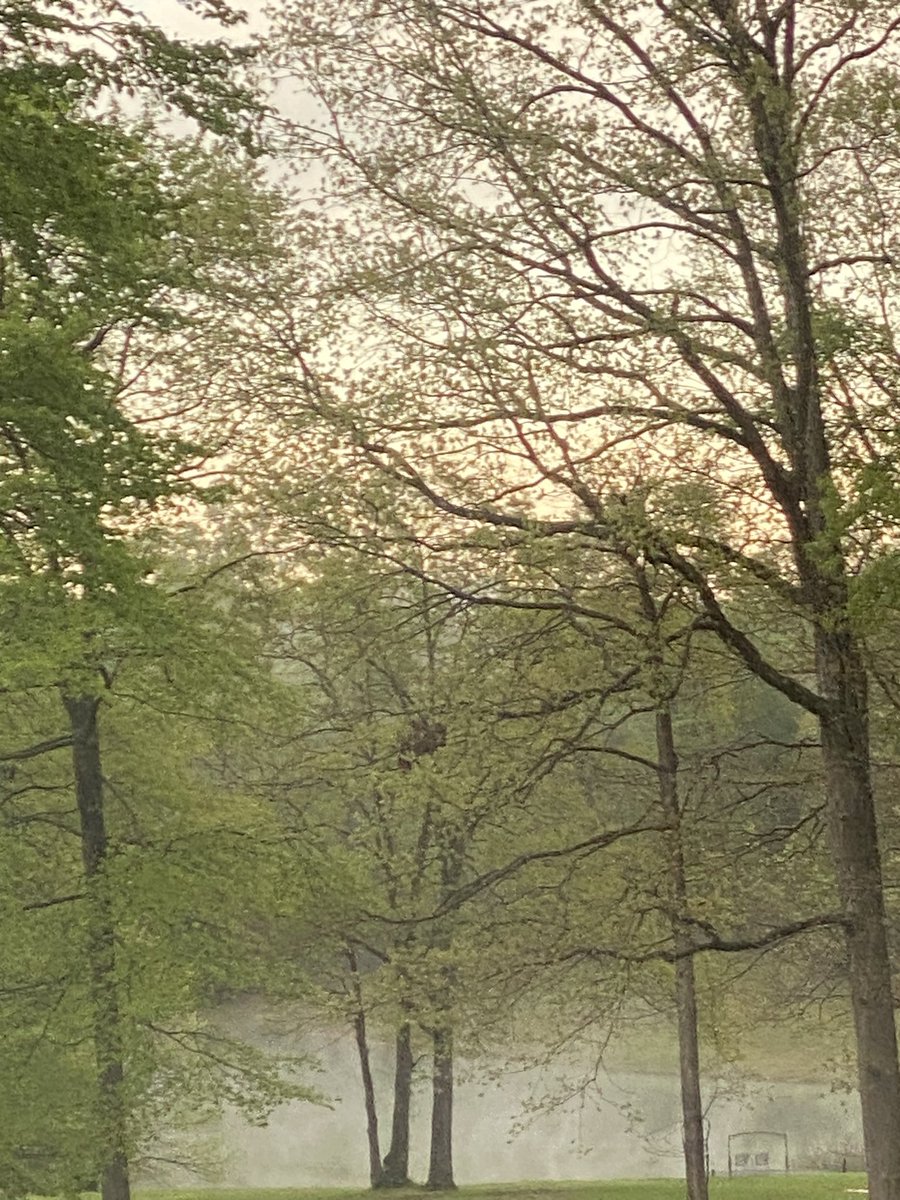 A cool mist hovering over the lake keeps me inside this Saturday morning.