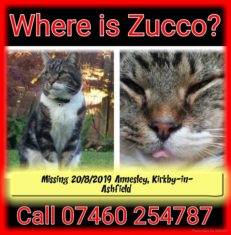 @cldesjarlais @MissingPetsGB Thank you Catherine
💔💔💔
#FindZucco 
#ZuccoDay