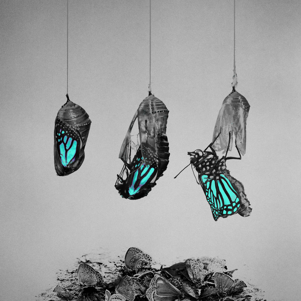 Sepul_Metal's tweet photo. 🎤 Lightworker
💿 How The Beautiful Decay
⌛️ 39:39
🎸 Metalcore
🌎 EE. UU. 🇺🇸
📅 19-04-24 🆕
➡️ https://t.co/dT8THo7NND

📄 https://t.co/61zI5F9H6w
🌐 https://t.co/D4hDqXo1wc
🌐 @Lightworker_SF

#SepulMetal #SepulRecommended #HeardAndShared #SolidStateRecords https://t.co/ckfbsCtIL7
