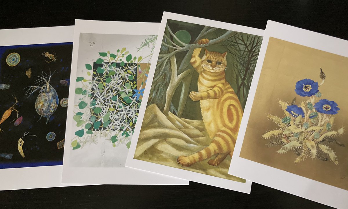 dodeca_JP1's tweet photo. 堀文子さんの展覧会でアーティストの極致を見た気がしました

作品の持つエネルギーに圧倒されてめちゃめちゃに疲れた https://t.co/Znol66WlQ3